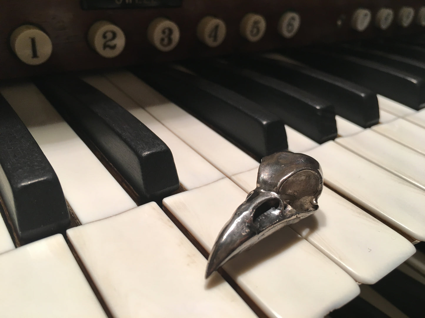 Crow Skull Pin / Brooch